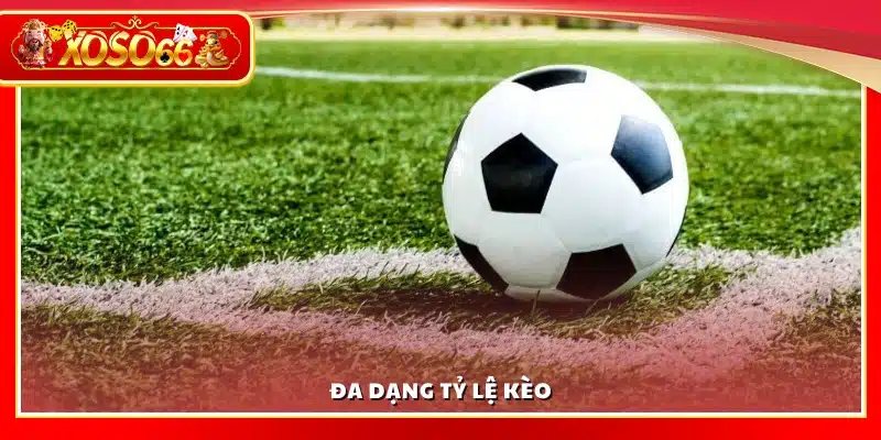 Nhiều loại tỷ lệ kèo khác nhau