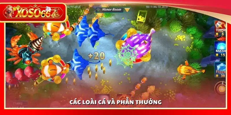 Loài cá đặc biệt và phần thưởng giá trị